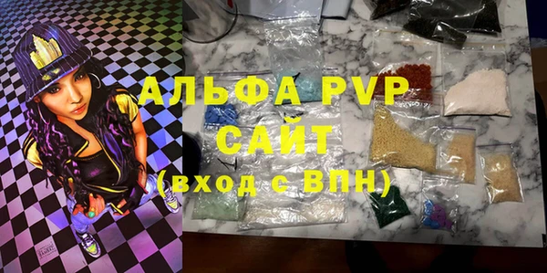хмурый Аркадак