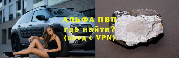 хмурый Аркадак
