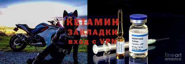 хмурый Аркадак