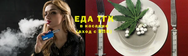 хмурый Аркадак