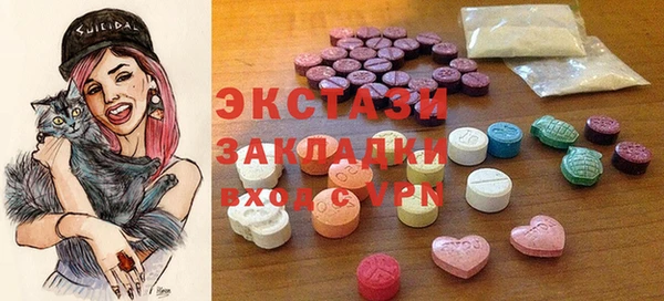 хмурый Аркадак