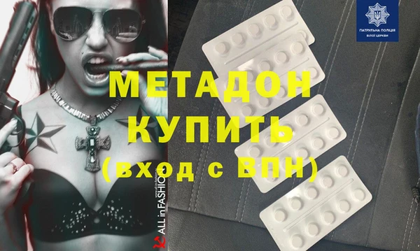 хмурый Аркадак