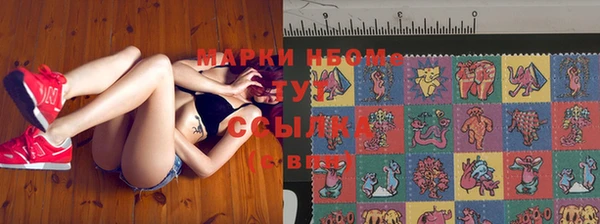 хмурый Аркадак