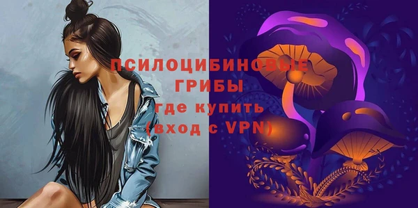 хмурый Аркадак