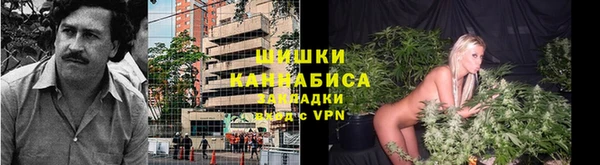 хмурый Аркадак