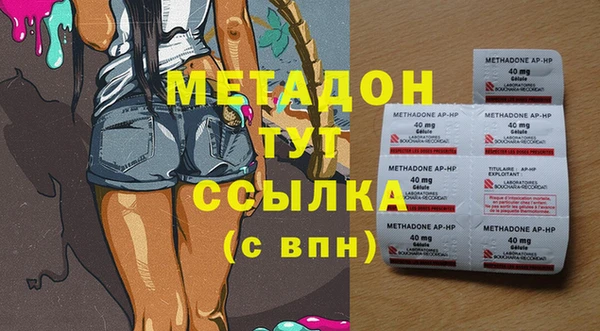 хмурый Аркадак