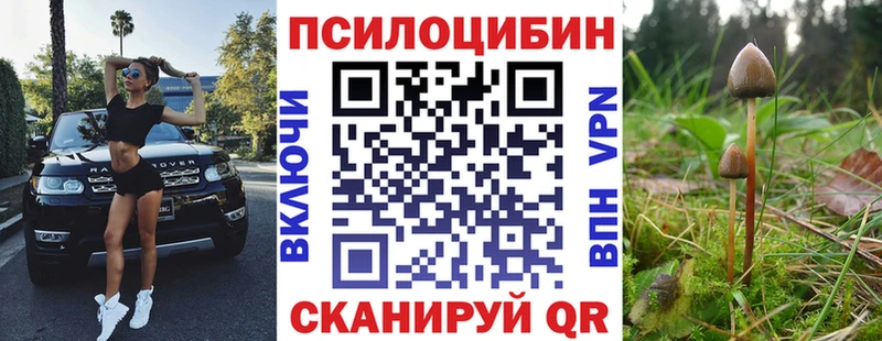 МЕГА сайт Инсар Галлюциногенные грибы GOLDEN TEACHER купить цена